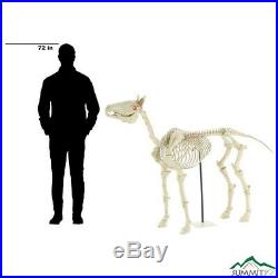 52 In. Standing Skeleton Horse Pony LED Eyes Halloween Sound Effects Yard Décor