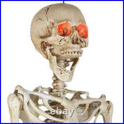 5’5 Halloween Poseable Human Size LED Lighted Skeleton Haunted Party Prop Decor