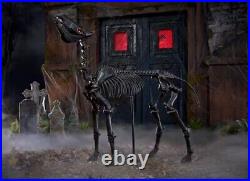 5.5 ft LED Skeleton Pony Halloween Home Depot Horse Home Accents IN HAND