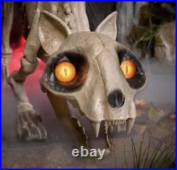 5 Ft Long Grave & Bones LED Skelly’s Cat Home Depot Halloween Used FAST SHIP