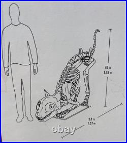 5 Ft Long Grave & Bones LED Skelly's Cat Home Depot Halloween Used FAST SHIP