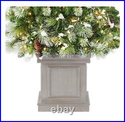 5' SHIMMERING FROSTED POTTED PRE-LIT LED TREE with150 WM WHITE MICRO FAIRY LIGHTS