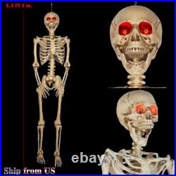 5 ft 5 in LED Eyes Poseable Human Size Skeleton Skull Halloween Decoration Prop