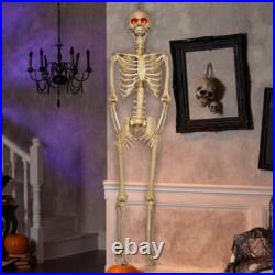 5 ft 5 in LED Eyes Poseable Human Size Skeleton Skull Halloween Decoration Prop