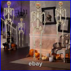 5 ft 5 in LED Eyes Poseable Human Size Skeleton Skull Halloween Decoration Prop