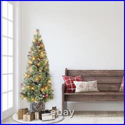 5 ft Pre-lit Potted Vancouver Pine Tree 288 Tips 70 UL Clear Incandescent Lig