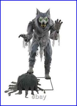 64 Animated Motion Sensor Lanky Werewolf Indoor Haunted House Halloween Decor