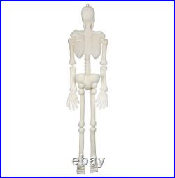 66 SKELETON WHITE FLOCKED Spooky Hanging HALLOWEEN DECORATION ScArY! WH0103 NEW