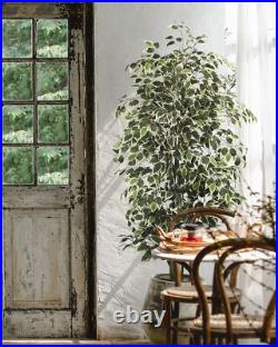 6 FT Artificial Ficus Tree 600 Leaves Faux Plants Indoor Tall with Black Pot 6 FT Artificial Ficus Tree 600 Leaves Faux Plants Indoor Tall with Black Pot
