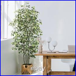 6 FT Artificial Ficus Tree 600 Leaves Faux Plants Indoor Tall with Black Pot 6 FT Artificial Ficus Tree 600 Leaves Faux Plants Indoor Tall with Black Pot