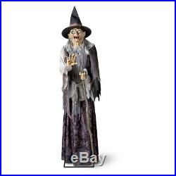 6 Ft Lunging Haggard Witch Animatronic Halloween Decoration Haunted House Prop