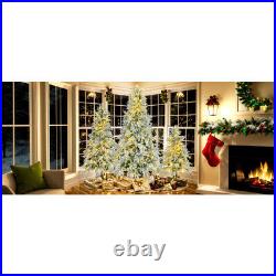 6' Pre-Lighted Spruce Edelweiss Christmas Tree with Multi-Color LED Lights NEW