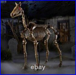 6 ft Life Size Standing Skeleton Horse Halloween Prop BRAND NEW