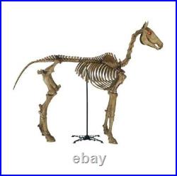 6 ft Life Size Standing Skeleton Horse Halloween Prop Home Accents Depot