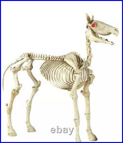 6ft Halloween Standing Skeleton Horse Ghost Glowing Eyes Home Depot Accents