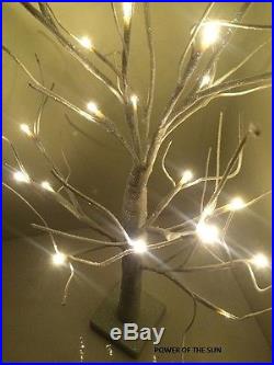 70cm Snowy Glitter Twig Tree/Pre-lit/24 LED White Christmas Lights/Decoration