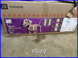 7 FOOT Skeleton Dog Skelly’s Home Accent Halloween 2024 Home Depot IN HAND