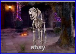 7 FOOT Skeleton Dog Skelly’s Home Accent Halloween 2024 Home Depot Read