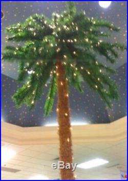 7 Foot Lighted Christmas Palm Tree 300 Clear Lights 78 Tips Indoor / Outdoor