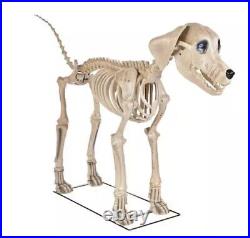 7ft FT Skeleton Dog Skelly's Home Accent Halloween 2024 Home Depot SAME DAY SHIP
