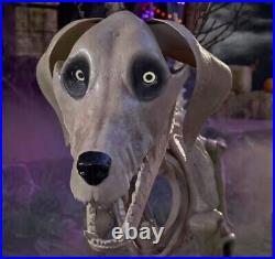 7ft FT Skeleton Dog Skelly's Home Accent Halloween 2024 Home Depot SAME DAY SHIP