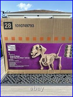 7ft FT Skeleton Dog Skelly's Home Accent Halloween 2024 Home Depot SAME DAY SHIP