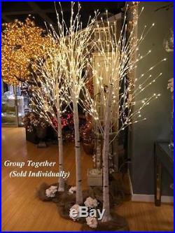 8 Foot White Birch Tree 240 Warm White LED’S From The Light GardenSize 96 H