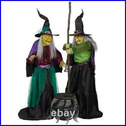 Animated Cauldron Witches