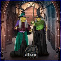 Animated Cauldron Witches