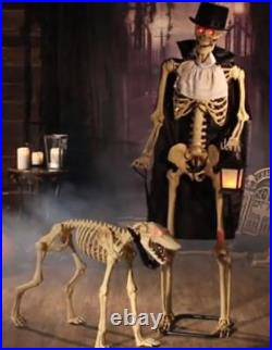 Animated Life-Size Standing Gentleman & Dog Halloween Skeleton Talks Growls #354