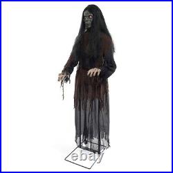 Animated Talking Witch Decoration Adult Halloween