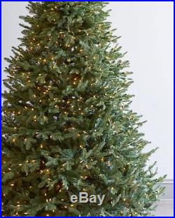 BALSAM HILL BALSAM FIR 5.5 CHRISTMAS TREE With CLEAR LIGHTS