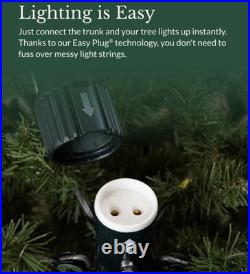 BH FRASER FIR NARROW reNEW 7.5' NARROW TREE with LED COLOR+CLEAR LIGHTS