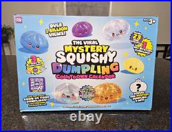 BIG Crazy Fun 24pc RMS Mystery Dumpling Advent Calendar