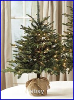 Ballard Designs / Suzanne Kasler Fraser Fir Tabletop Christmas Tree 3