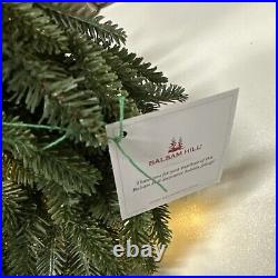 Balsam Hill 2-PACK 26 inch Fraser Fir Wreaths Clear Candlelight $239 Open Box