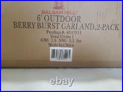 Balsam Hill 6' Outdoor Berry Burst Garland 2 Pack