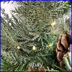 Balsam Hill 6 ft Winter Evergreen Garland Christmas prelit battery NO BOX/Open