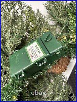 Balsam Hill 6 ft Winter Evergreen Garland Christmas prelit battery NO BOX/Open