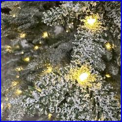 Balsam Hill 9 Foot Frosted Alpine Balsam Fir Tree Fairy Lights Open $999 READ
