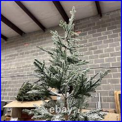 Balsam Hill 9 Foot Frosted Alpine Balsam Fir Tree Fairy Lights Open $999 READ
