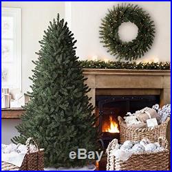 Balsam Hill Classic Blue Spruce Narrow Artificial Christmas Tree, 6 Feet, Unlit