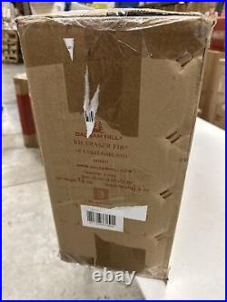 Balsam Hill Fraser Fir unlit 10 Foot Garland $299 Christmas Garland. 2-PACK
