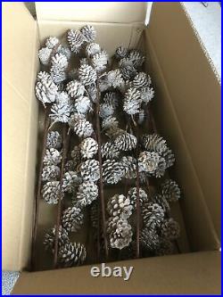 Balsam Hill Pine Cone Picks Full Box Brand New Christmas Decorations