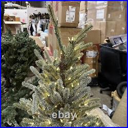 Balsam Hill Sanibel Spruce 5 Foot Christmas Tree LED Clear lights $499 Balsam Hill Sanibel Spruce 5 Foot Christmas Tree LED Clear lights $499