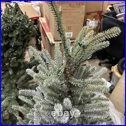 Balsam Hill Sanibel Spruce 5 Foot Christmas Tree LED Clear lights $499 Balsam Hill Sanibel Spruce 5 Foot Christmas Tree LED Clear lights $499