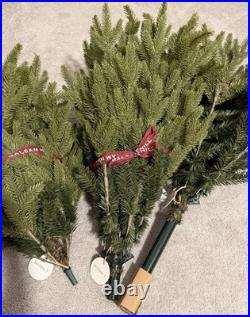 Balsam Hill Silverado Slim 6 ft Artificial Christmas Tree Unlit