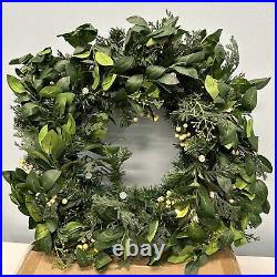 Balsam Hill White Berry Cypress Foliage 28 prelit Battery operated-LIGHT ISSUE