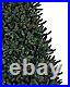 Balsam Spruce Christmas Tree
