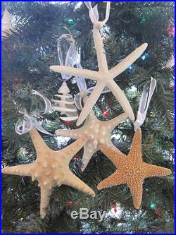 Beach Decor Christmas Seashell and Starfish Ornament Set (5PC) Nautical Xmas